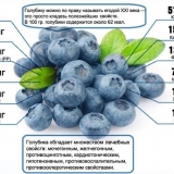 Džem od borovnica za zimnicu